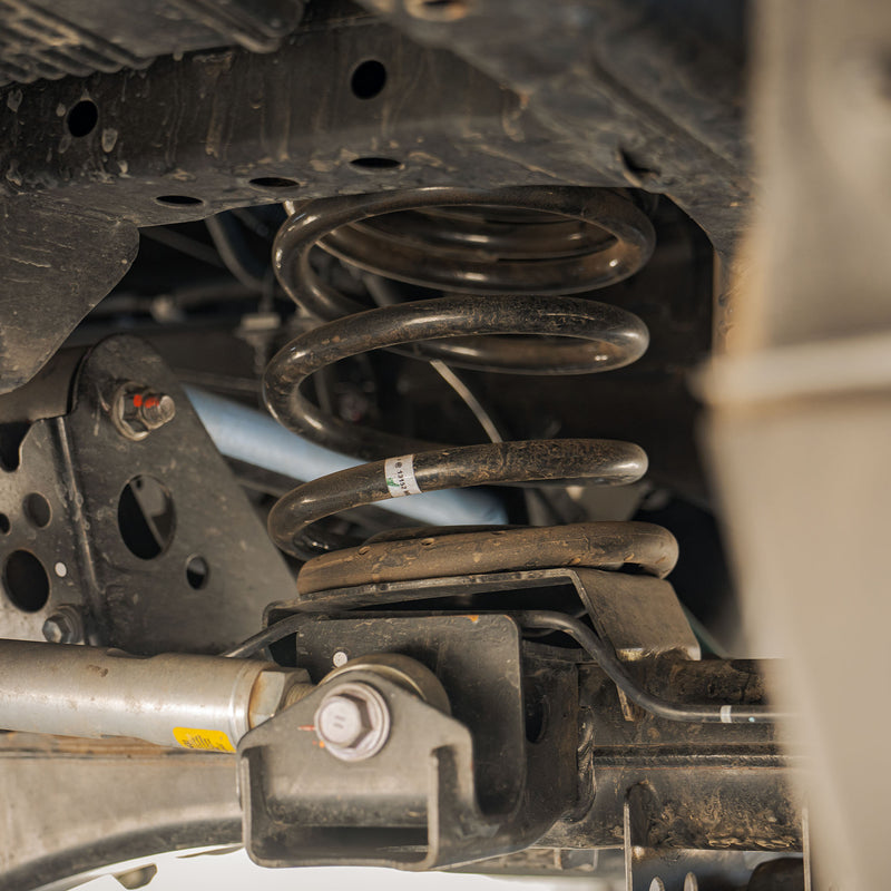 +1" Rear Springs