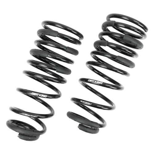 +1" Rear Springs