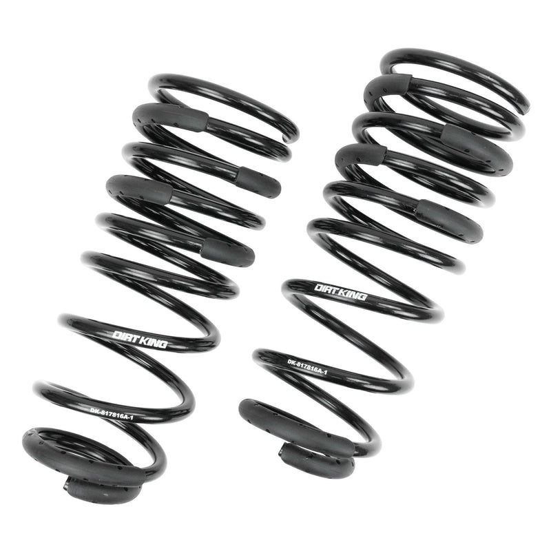 +1" Rear Springs